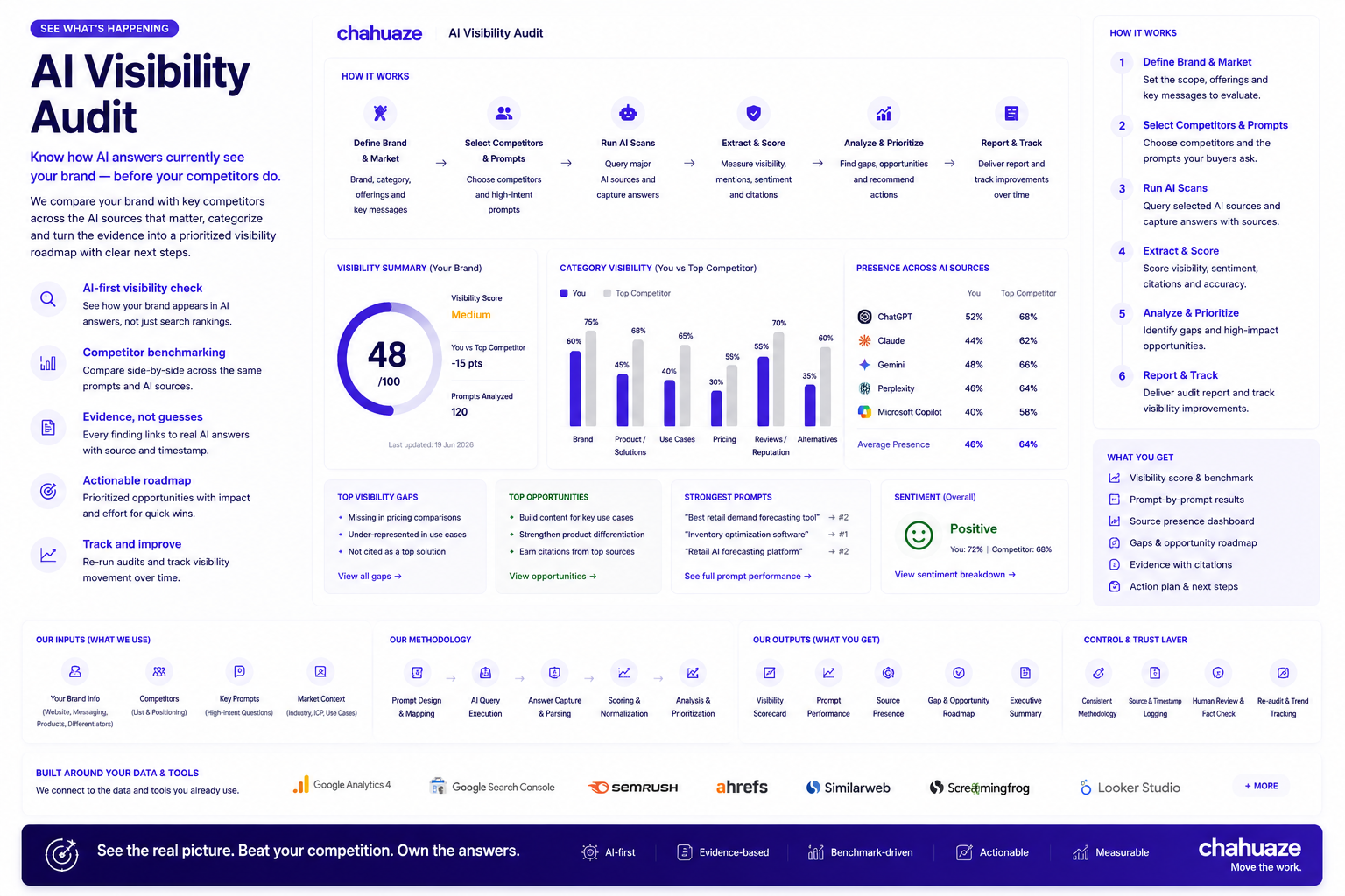 AI Visibility Audit visual proof